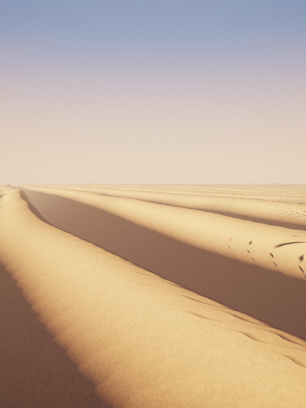 Dune crest in raking dawn light