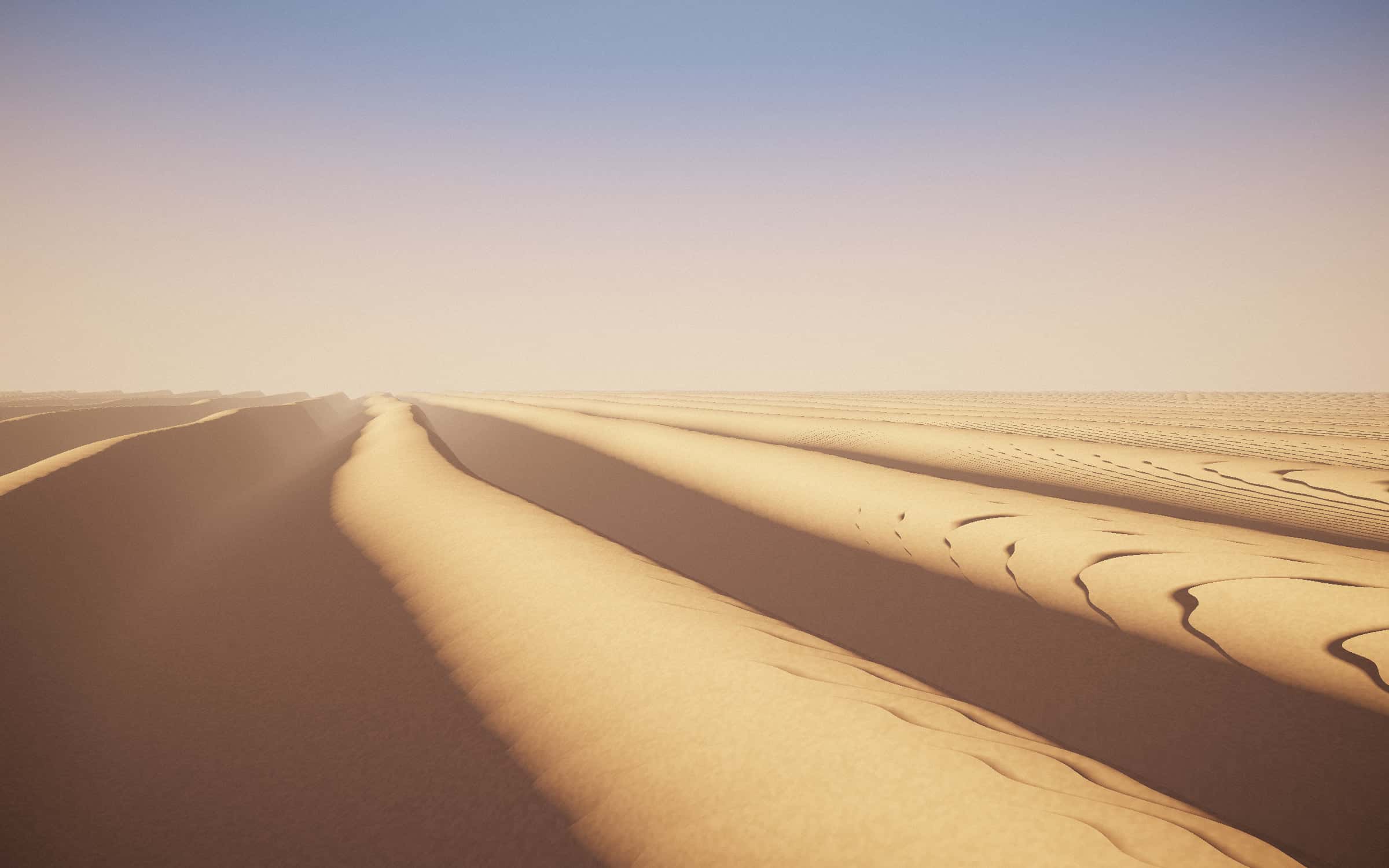 Wind-cut Saharan dune crests in low golden light